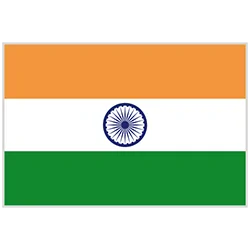 flag-in
