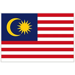 flag-ae